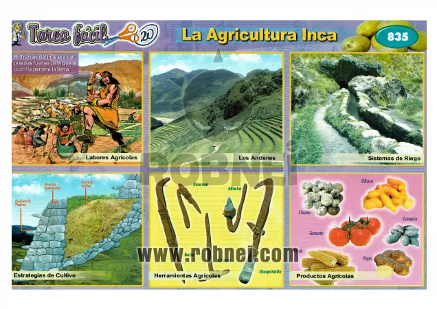La Agricultura Inca